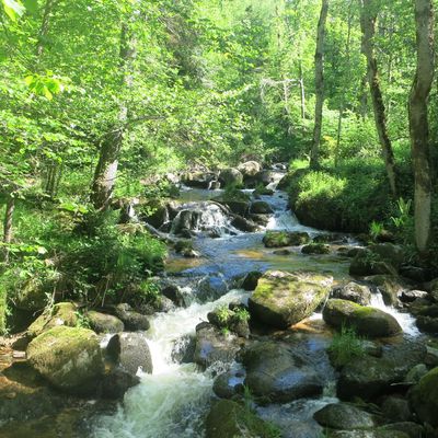 Etape 2: Courpière - Ambert 70km