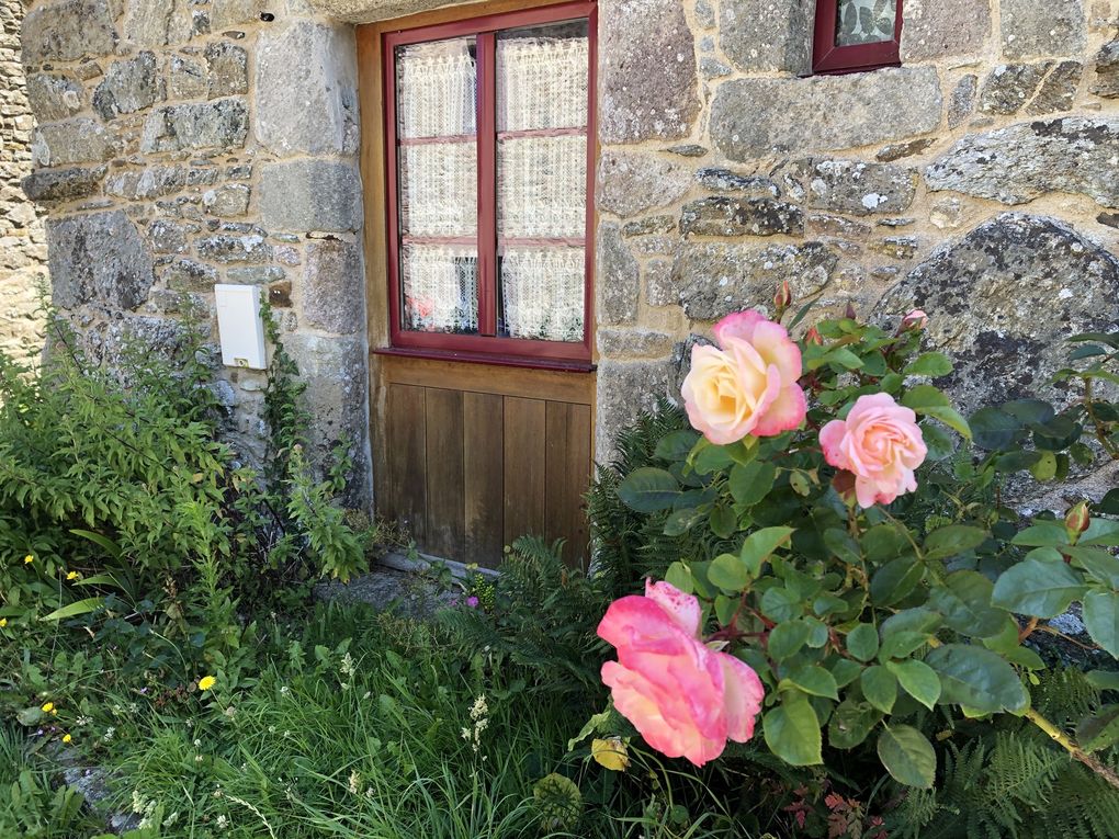 Randonnée boucle au départ de Gruchy - Cotentin.