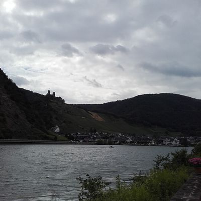 Coblence - Cochem Nerhen