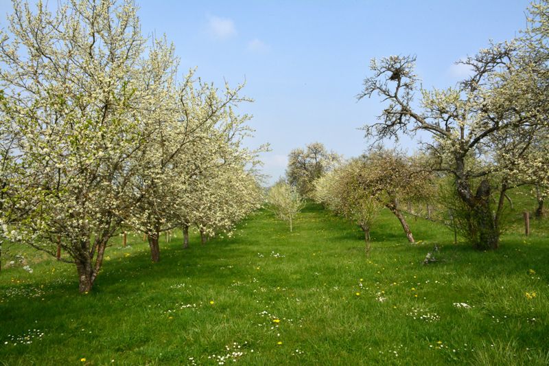 Marche du 14 Avril 2022