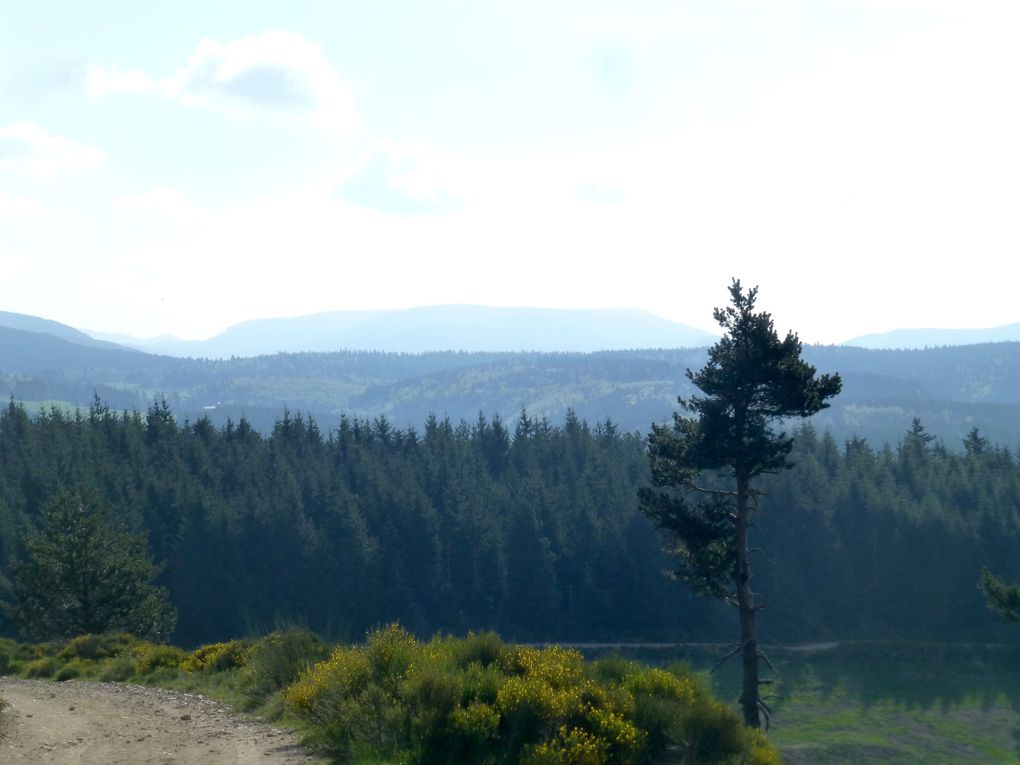 La journée avait bien commencé...quelques kilomètres en trop auraient pu la gâcher mais on a été recompensé par la beauté des paysages, et la source du Lot!