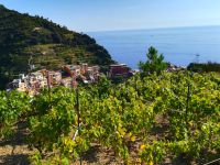 Panoramas sur et depuis Manarola