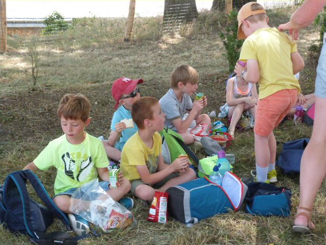 Notre sortie scolaire à Suscinio