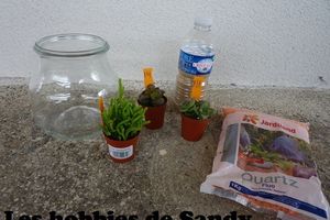 DIY: Terrarium de plantes grasses (succulentes) pour 15 euros