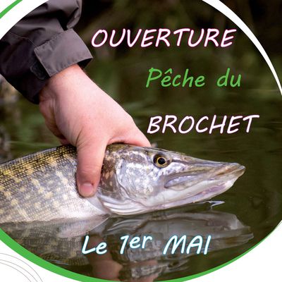 Ouverture Pêche du Brochet le 1er Mai