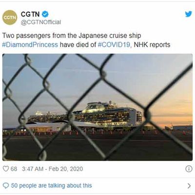 2 passagers à bord du « Diamond Princess » meurent du coronavirus