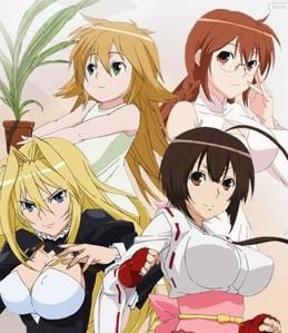 Sekirei épisode 01 - 10 vostfr