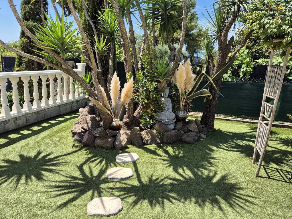LES SUCCULENTES UNE PLANTE ULTRA TENDANCE