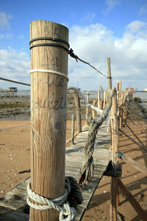 Album - Mindin-Estuaire-de-la-Loire