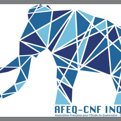 La version finale du logo de l'AFEQ.