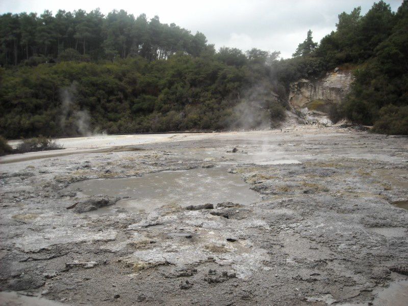 Album - Rotorua