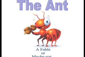 Fable of the ant... a fable or maybe not