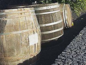 La route des vins de Lanzarote