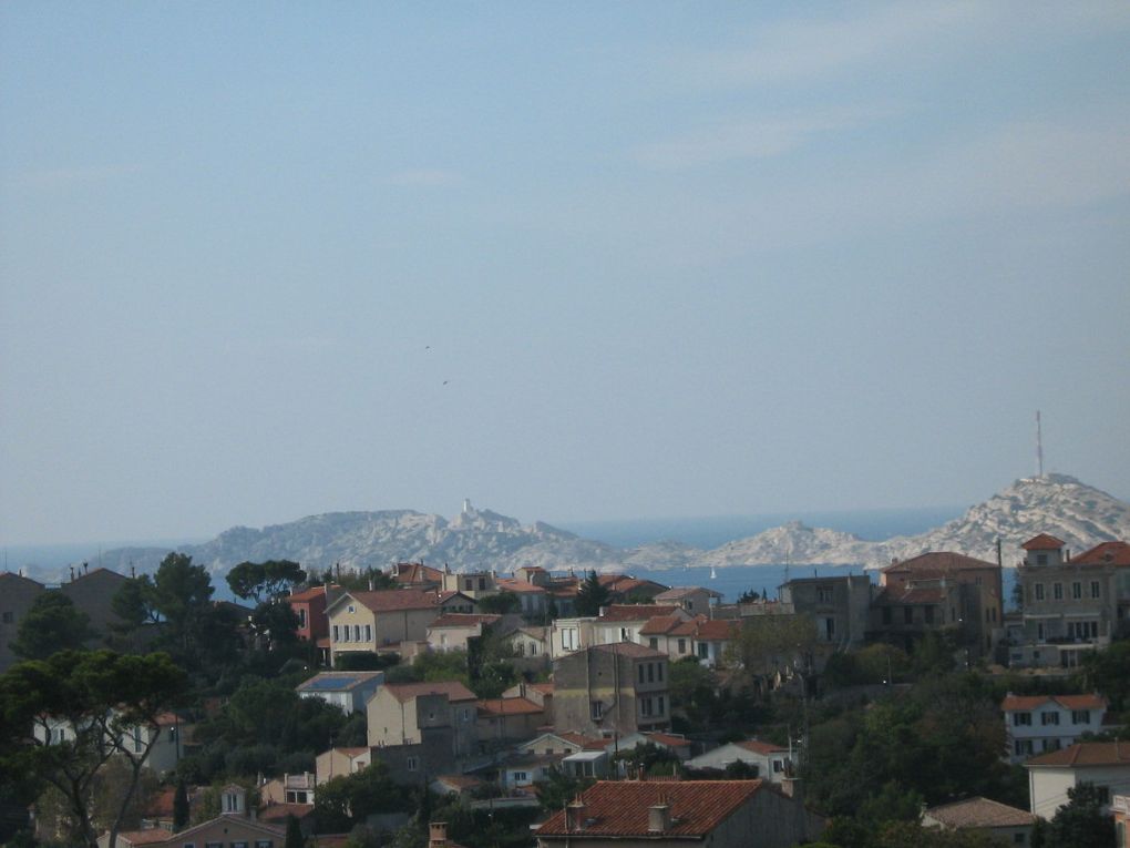 Sauvons la colline du Roucas Blanc (Marseille)