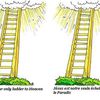 Notre échelle/Our ladder