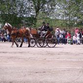 Carriage driving show in Lunéville