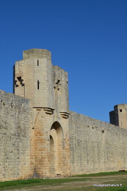 Aigues-Mortes (30)