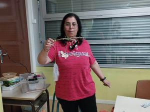 ME Crins : Mercredi 12 avril