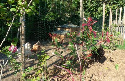 Histoire du massif des poulettes