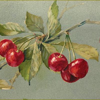 Le temps des cerises par les peintres -  Catharina Klein (1861-1929) cerises