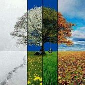 Paysages et sites : Les saisons 
