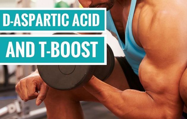 Does D Aspartic Acid Increase Testosterone | How It Works?