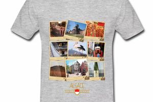 T Shirt Alsace gris homme Polaroids