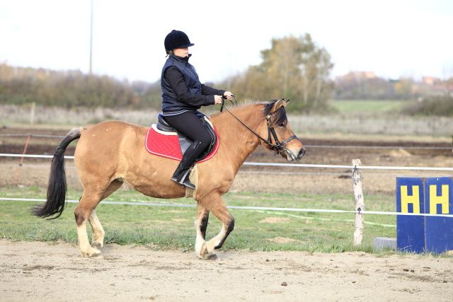 Epreuves de l'après-midi partie 02 concours de dressage au poney club de léguevin le 11 déc 2011