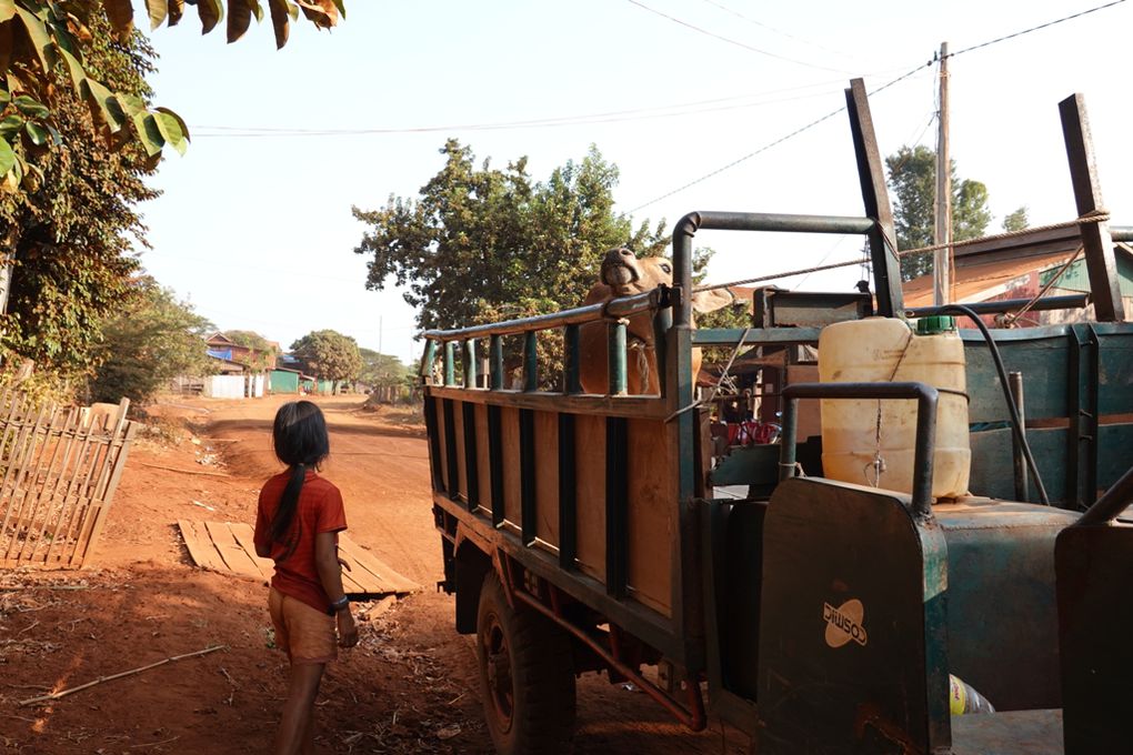 CAMBODGE : Banlung