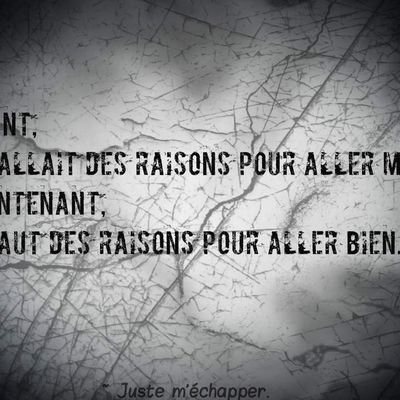 Citation n°12.