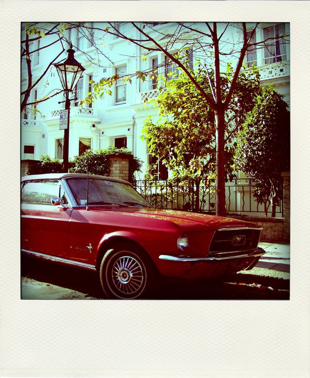 Album - LONDON-POLAROID