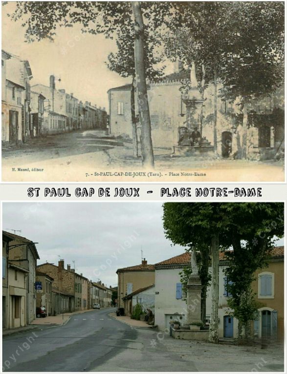 Saint Paul Cap de Joux, Tarn 《9》~ 