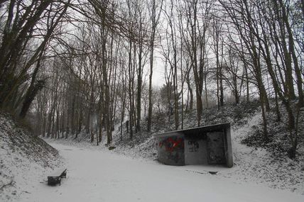 Le Bois Boissel sous la neige