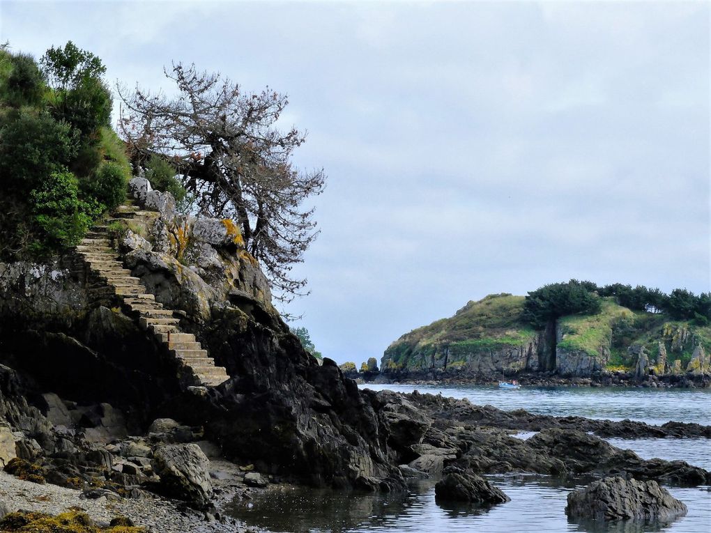 Les &quot;bancales&quot; à Cancale 