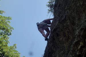 Les Brieux, calcaire en sous-bois