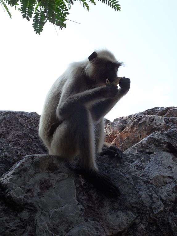 En route pour Bodhgaya, retrouver mon vieil ami Vinaï et sa famille