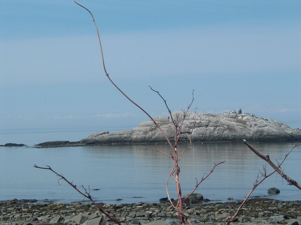 Métis-sur- mer ...Bord de mer !