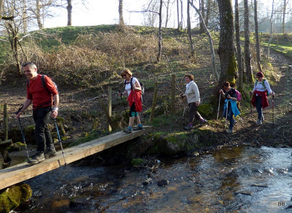 La descente se fait jusqu'à la Foret et dernière côte avant Chenereilles ou nous attendent les meringes offertes par Angèle, délicieuses, merci encore et merci a tous pour cette bonne après midi. La semaine prochaine Pralong vers le cimetière.