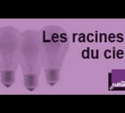 Le féminin de l'être avec Annick de Souzenelle
