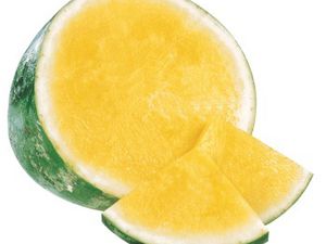 melon d'eau