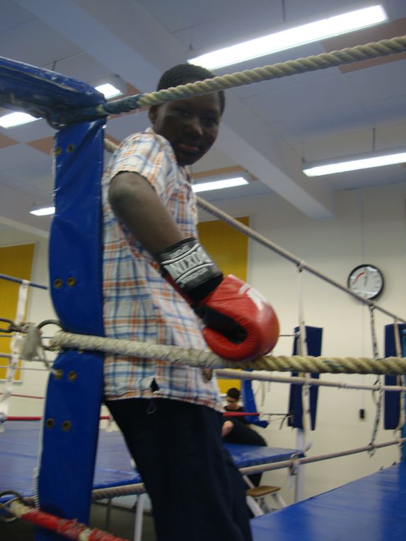 Photos des compétitions, entraînements de Boxe