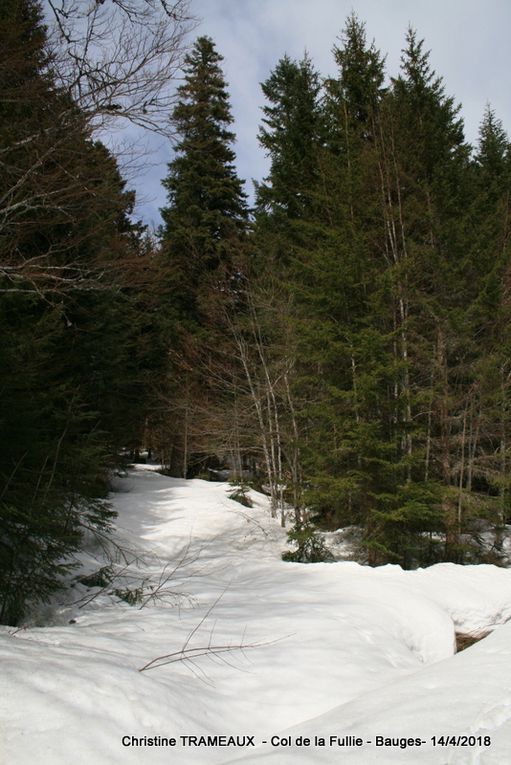 BAUGES - COL DE LA FULLIE