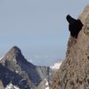 Pierre Allain à la Meije (Ecrins)