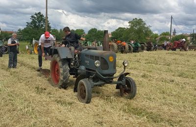 FOIRE 2024 : LANZ D2416