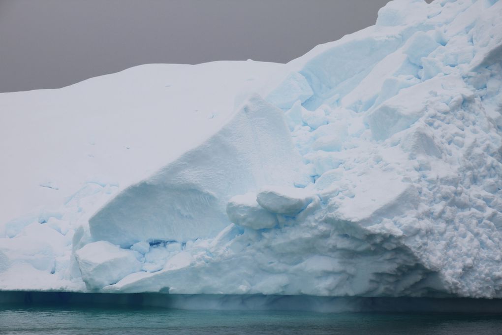 Croisière à la voile en Antarctique 