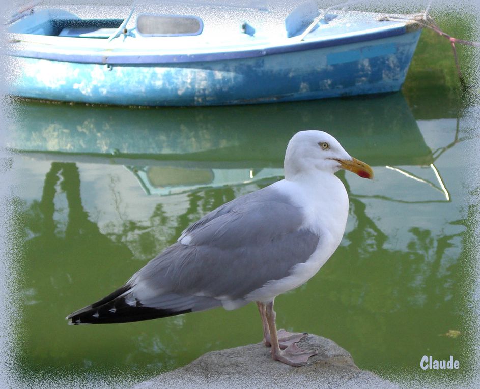 Album - BRETAGNE