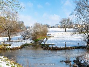 VOSGES-en-PLAINE, rétrospective 2021 en photographies