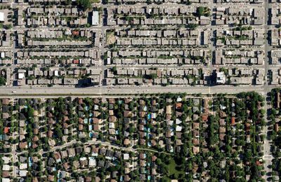 Face à la canicule, en ville, les arbres sont la meilleure parade