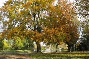 Lumière d'automne