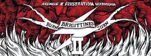 BURN Party#2 ( featuring FRUSTRATION - ULTRADEMON, Avenue Z ...) aux Brigittines, Bruxelles, le 11 décembre 2015